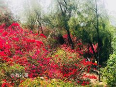 -厦门园林植物园-植物园滴水山房