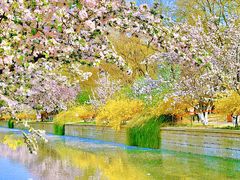 -元大都城垣遗址公园