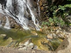 -陕西省红河谷森林公园