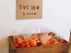 -柑橘农场