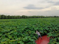 -嘉北郊野公园
