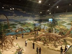 -自贡恐龙博物馆