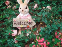 -人民公园(罗湖区)