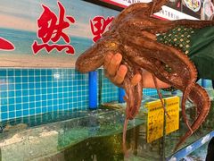 -坛南湾阿强农家乐.海鲜大排档老字号(福州地标美食店)