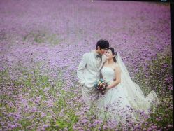 点击看大图 -戛纳印象摄影(潮拍定制馆)