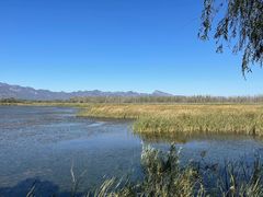-野鸭湖国家湿地公园