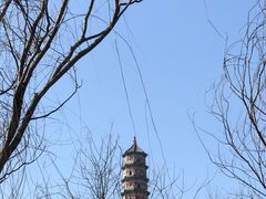 -北坞公园