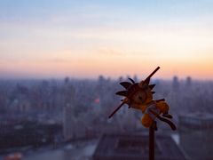-秦小阳手办店