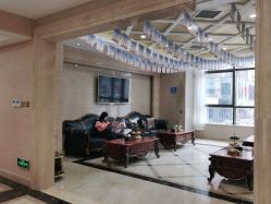 -碧莲盛·不剃发植发