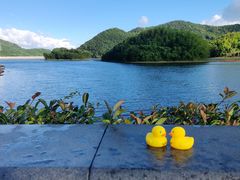 -宁波九龙湖开元度假村