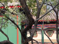 -宫事颐庭·老佛爷贵寿下午茶(颐和园店)