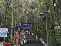 -成都老君山