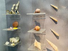 -烟台自然博物馆
