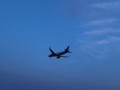 -空港花田景区