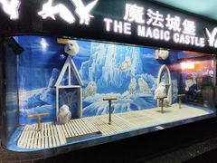 -成都浩海立方海洋公园