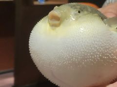 -肆月河豚·淮扬菜·湘菜(华天店)