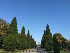 -墨尔本皇家植物园