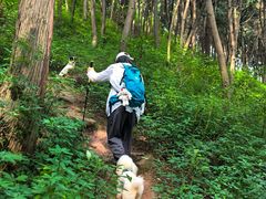 -金堂县云顶石城风景区