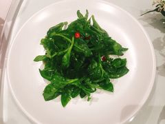 炝拌田七菜-九十九顶毡房(阜石路店)