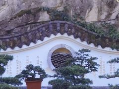 -南山植物园
