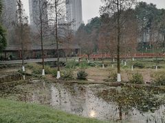 -重庆彩云湖湿地公园