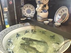 -南京金牛湖巨碗鱼头