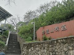 -佛山华盖山公园