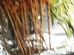 -新发展亚太JW万豪酒店·福苑咖啡厅