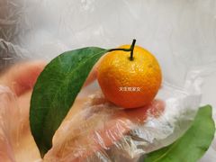 沙糖桔-百果园PAGODA(法华镇路店)