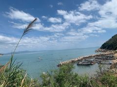 -日日香卤鹅饭店·澄海狮头鹅(澄海店)