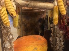 -大鹅岛绿色生态美食园