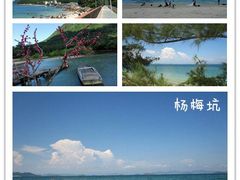 -杨梅坑