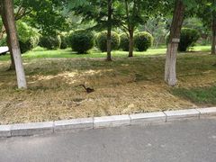 -长春世界雕塑园冰雪艺术天地