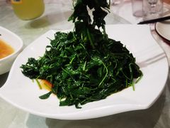 -阿巧一号私房菜(止园路店)