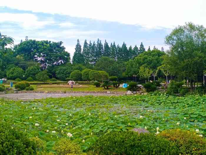 广兰公园-"今天午饭吃的早,天气又是真的好,太阳当空.