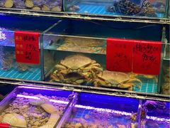 -金海湾海鲜排档(朱家尖店)