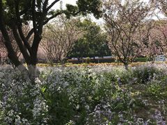 -荆川公园