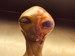 -drivepro(三里屯店)