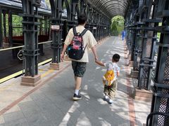 -合肥滨湖国家森林公园