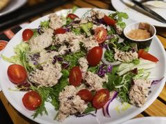 -Tubestation站点比萨(五道营店)