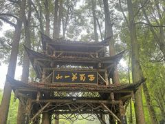 -青城山