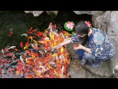 -西林禅寺