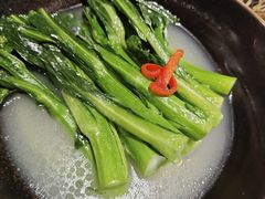 -点都德·毕德寮