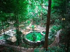 -花水湾第一村温泉大酒店