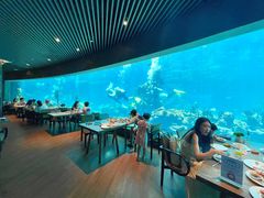 大堂-海棠湾洲际-涛·海底餐厅·美人鱼·自助餐·海底隧道