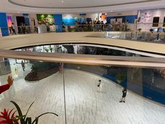 -上海广播电视台&上海东方传媒集团有限公司快递接收处