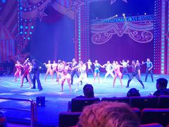 -珠海横琴长隆《卡卡虎奇遇记》