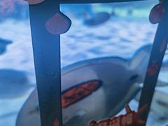 -沈阳海洋探索中心