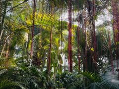 -北京植物园-展览温室