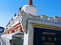 -塔尔寺游客服务中心
